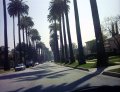 March 10 - Beverly Hills, Hollywood, Caltech & Pasadena